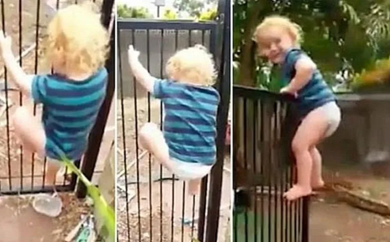Fence It In! Don't Become a Drowning Statistic Part 2