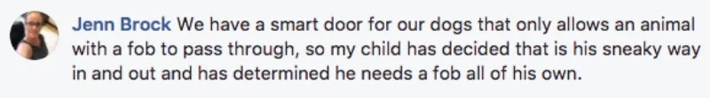 Facebook thread about a toddler getting through a smart pet door