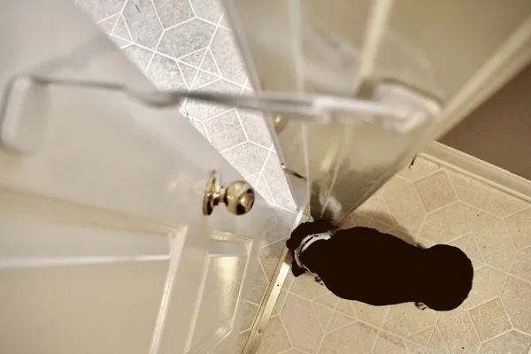 Door Buddy adjustable door latch as a pet door alternative