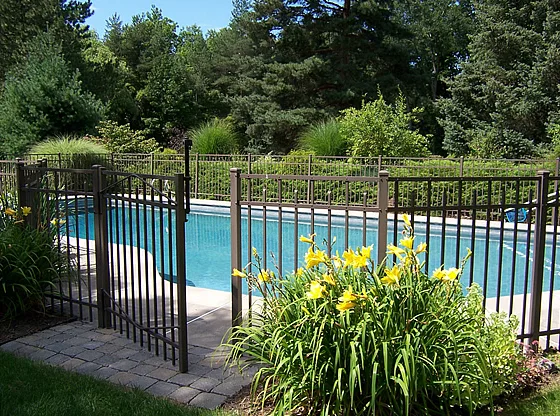 Pool Gate Left Open: The Unspeakable Happened...